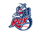 St. Cloud Rox logo